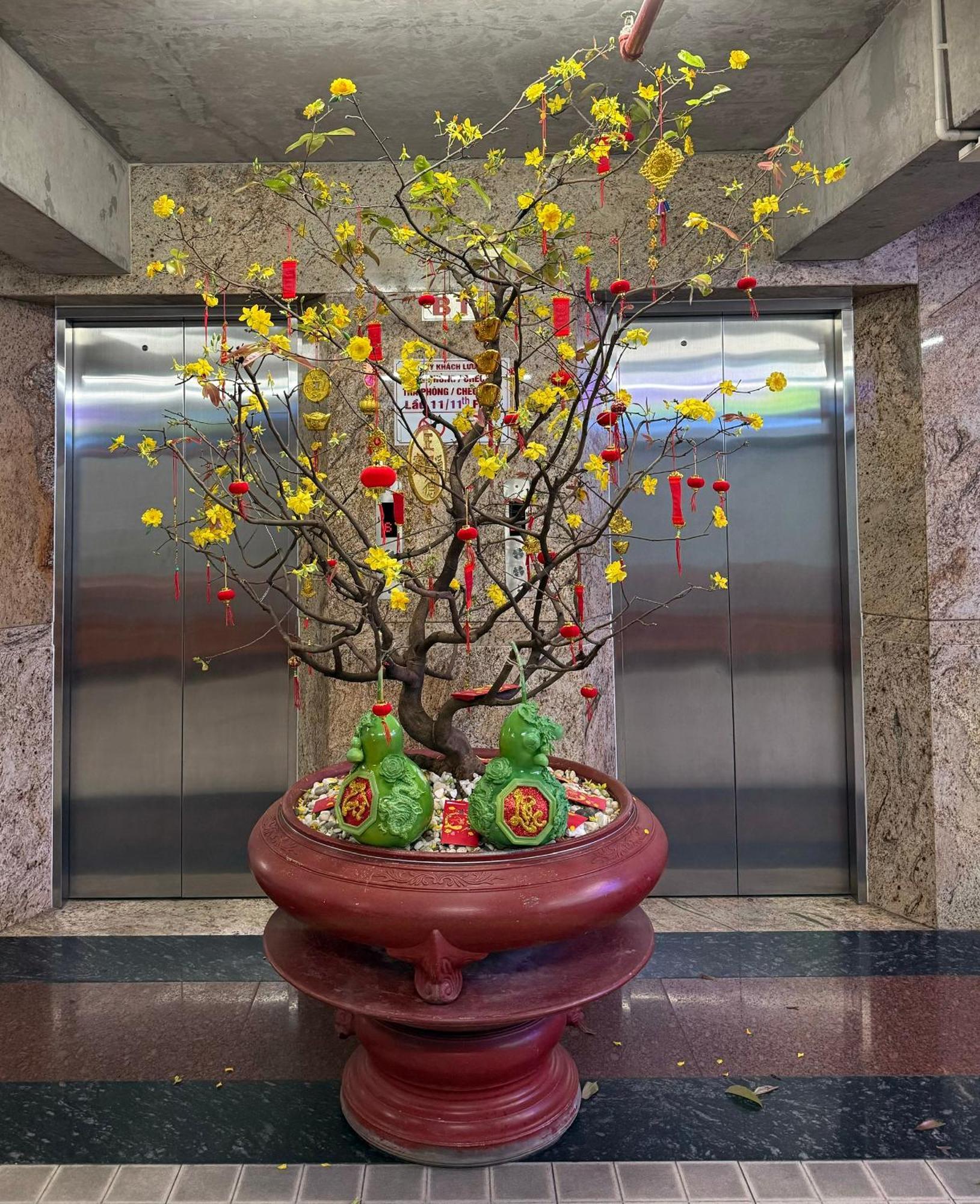 Thien Tai Hotel Ho Chi Minh-Byen Eksteriør billede